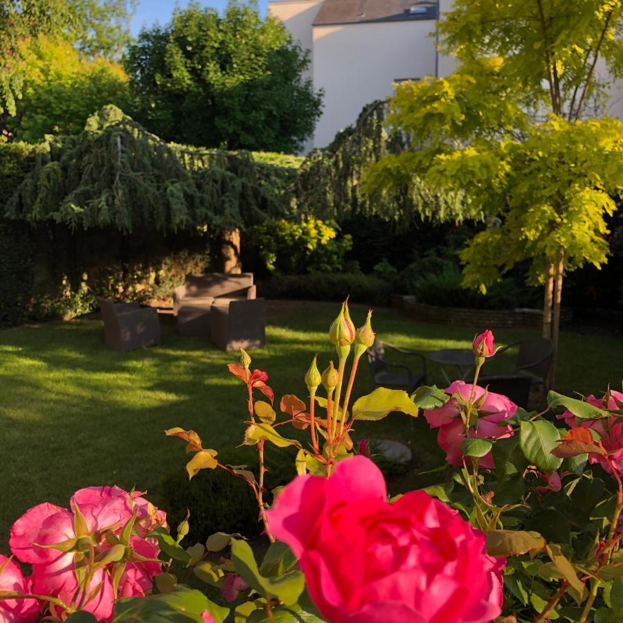 Des Cedres Hotel